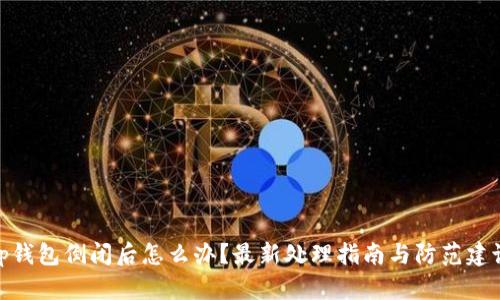 tp钱包倒闭后怎么办？最新处理指南与防范建议