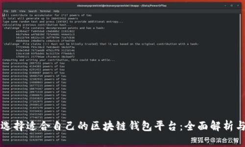 如何选择适合自己的区块链钱包平台：全面解析与推荐